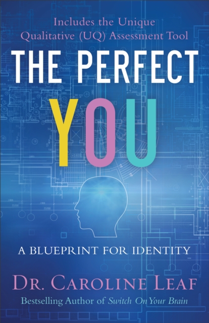 The Perfect You : A Blueprint for Identity, Hardback Book