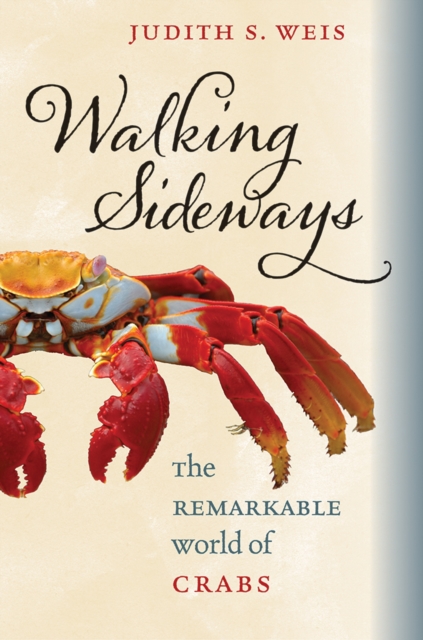 Walking Sideways : The Remarkable World of Crabs, PDF eBook