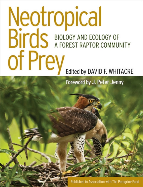 Neotropical Birds of Prey : Biology and Ecology of a Forest Raptor Community, EPUB eBook