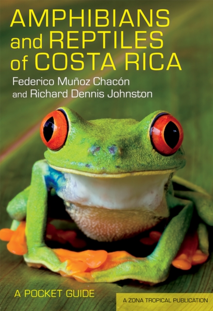 Amphibians and Reptiles of Costa Rica : A Pocket Guide, Paperback / softback Book