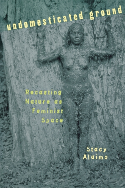 Undomesticated Ground : Recasting Nature as Feminist Space, Paperback / softback Book