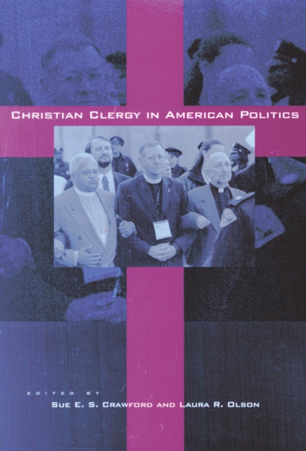 Christian Clergy in American Politics, EPUB eBook