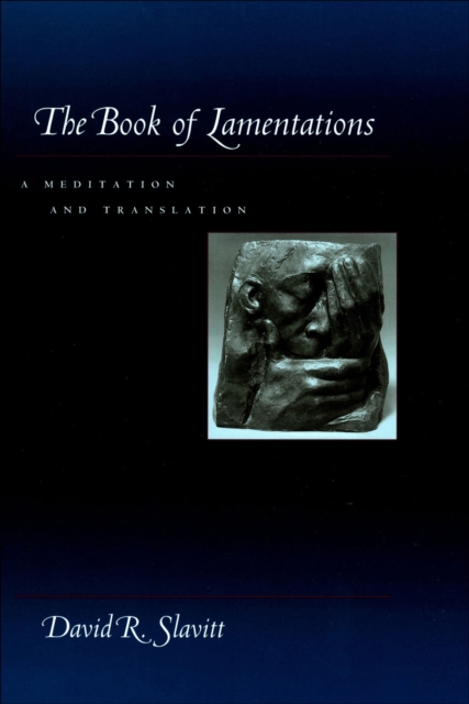 The Book of Lamentations : A Meditation and Translation, EPUB eBook