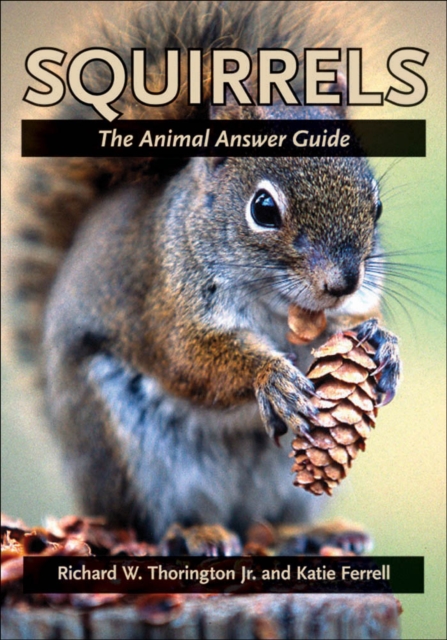 Squirrels, EPUB eBook
