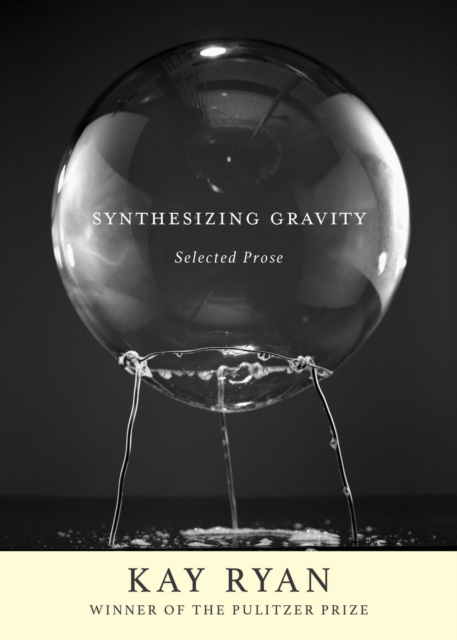 Synthesizing Gravity : Selected Prose, EPUB eBook