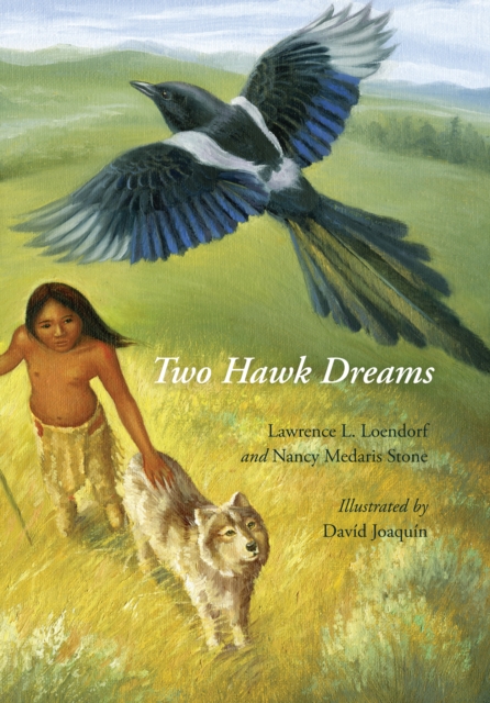 Two Hawk Dreams, EPUB eBook