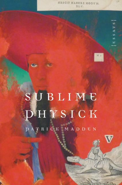 Sublime Physick : Essays, EPUB eBook