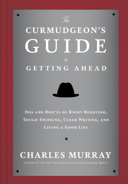 Curmudgeon's Guide to Getting Ahead, EPUB eBook