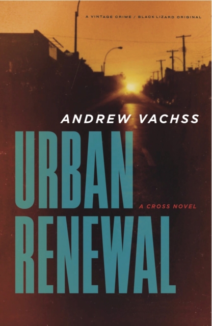 Urban Renewal : A Cross Novel, Paperback / softback Book