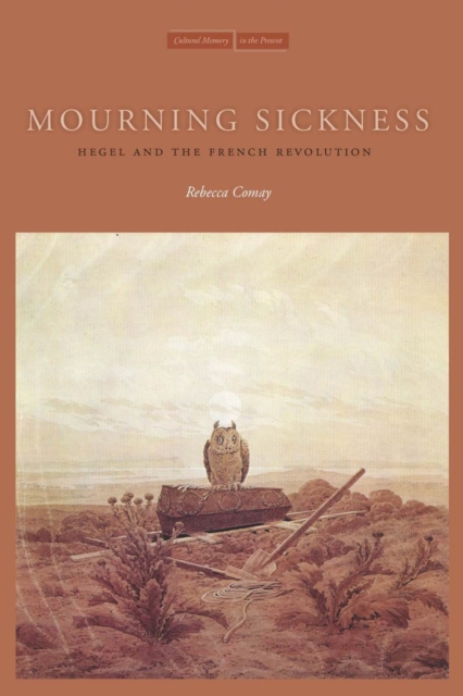 Mourning Sickness : Hegel and the French Revolution, Paperback / softback Book