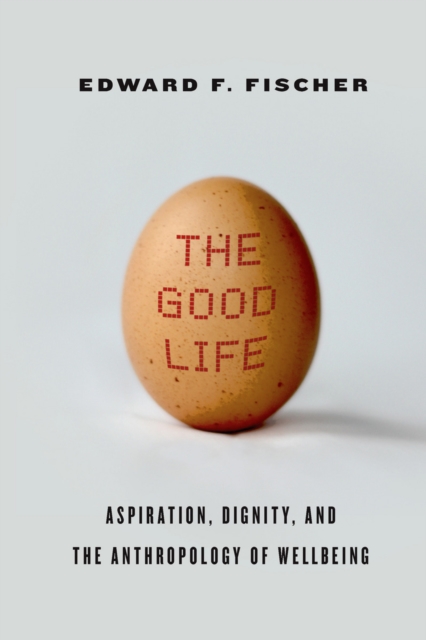 The Good Life : Aspiration, Dignity, and the Anthropology of Wellbeing, EPUB eBook