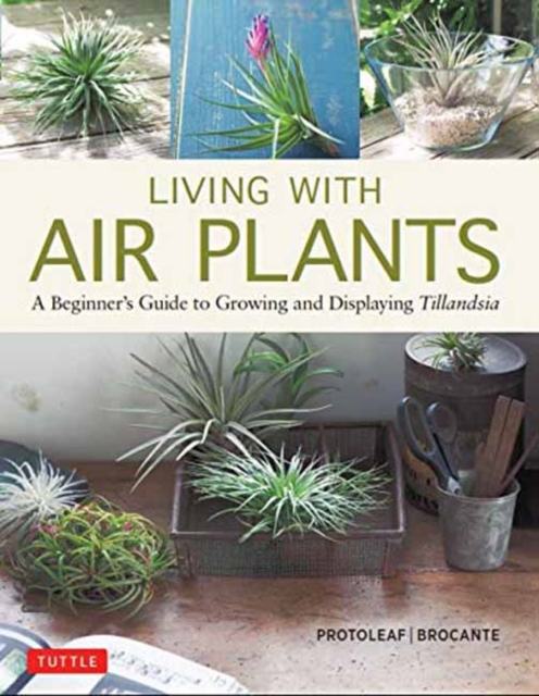 Living with Air Plants, Hardback Book