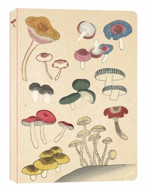 Healing Mushrooms Lined Paperback Journal : Blank Notebook with Pocket, Paperback / softback Book