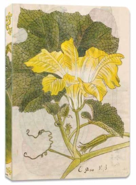 Japanese Squash Blossom Lined Paperback Journal : Blank Notebook with Pocket, Paperback / softback Book