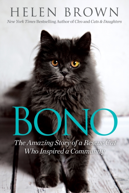 Bono : The Amazing Story of a Rescue Cat Who Inspired a Community, EPUB eBook