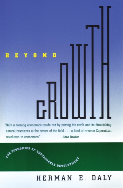 Beyond Growth, EPUB eBook