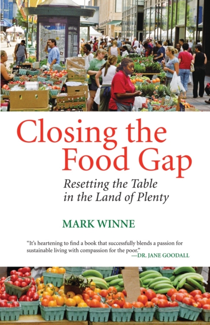 Closing the Food Gap : Resetting the Table in the Land of Plenty, Paperback / softback Book