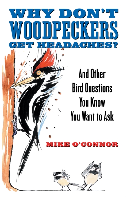 Why Don't Woodpeckers Get Headaches?, EPUB eBook