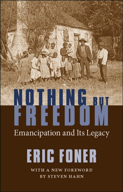 Nothing But Freedom : Emancipation and Its Legacy, PDF eBook