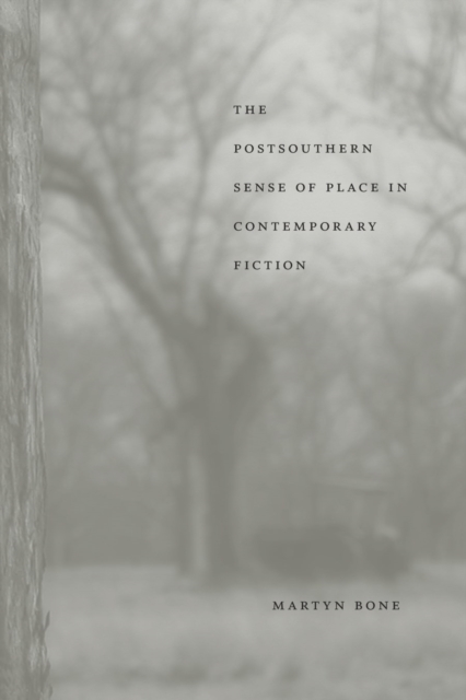 The Postsouthern Sense of Place in Contemporary Fiction, PDF eBook