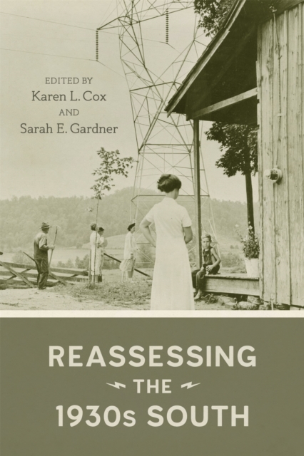 Reassessing the 1930s South, EPUB eBook