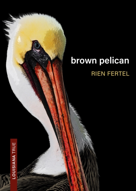 Brown Pelican, EPUB eBook