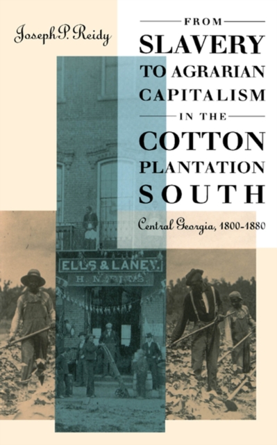 From Slavery to Agrarian Capitalism in the Cotton Plantation South : Central Georgia, 1800-1880, EPUB eBook