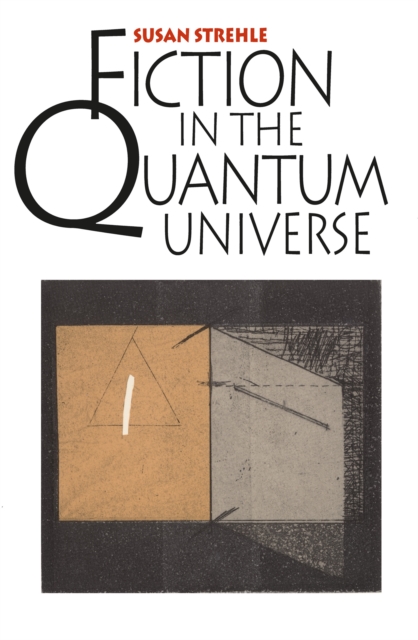Fiction in the Quantum Universe, EPUB eBook