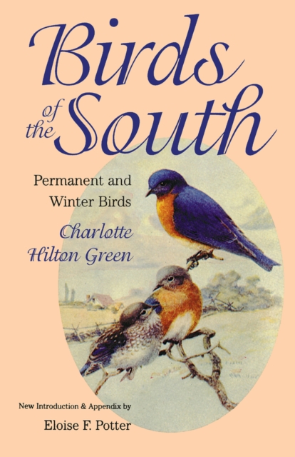 Birds of the South : Permanent and Winter Birds, EPUB eBook