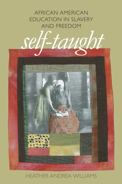 Self-Taught : African American Education in Slavery and Freedom, EPUB eBook