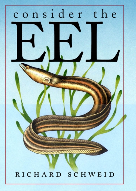 Consider the Eel, EPUB eBook
