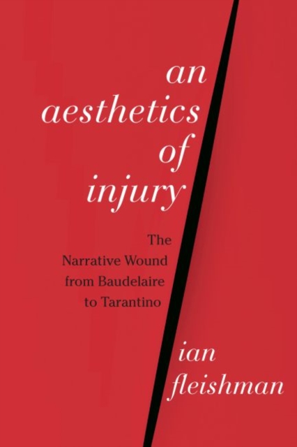 An Aesthetics of Injury : The Narrative Wound from Baudelaire to Tarantino, PDF eBook