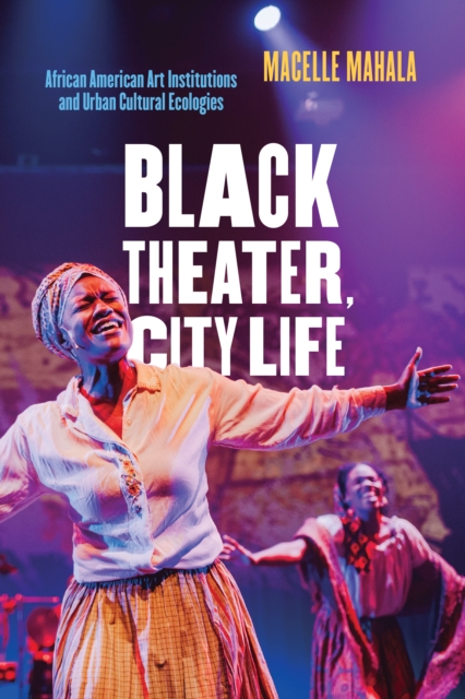 Black Theater, City Life : African American Art Institutions and Urban Cultural Ecologies, EPUB eBook