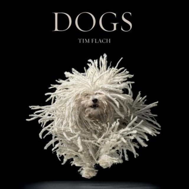 Dogs, Hardback Book