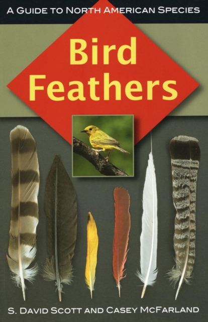 Bird Feathers : A Guide to North American Species, EPUB eBook