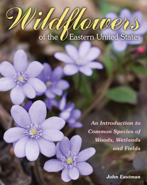 Wildflowers of the Eastern United States : An Introduction to Common Species of Woods, Wetlands and Fields, EPUB eBook