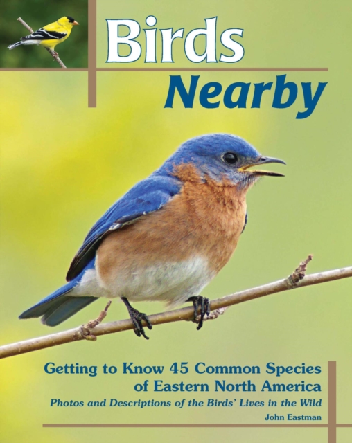 Birds Nearby : Getting to Know 45 Common Species of Eastern North America, EPUB eBook