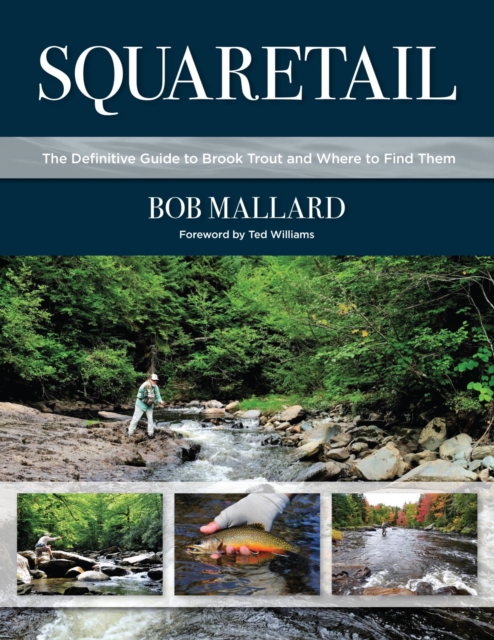 Squaretail : The Definitive Guide to Brook Trout and Where to Find Them, EPUB eBook