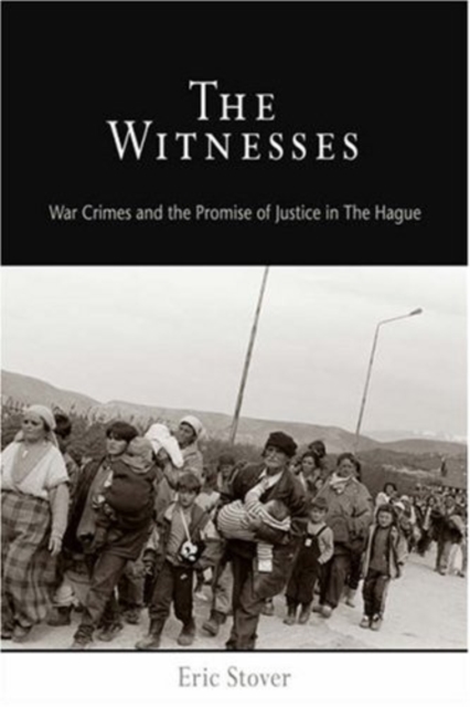 The Witnesses : War Crimes and the Promise of Justice in The Hague, PDF eBook