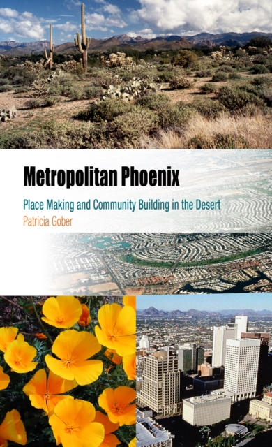 Metropolitan Phoenix : Place Making and Community Building in the Desert, EPUB eBook