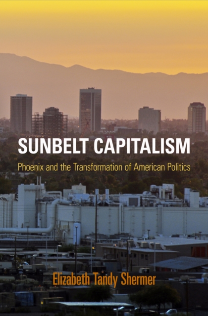 Sunbelt Capitalism : Phoenix and the Transformation of American Politics, EPUB eBook