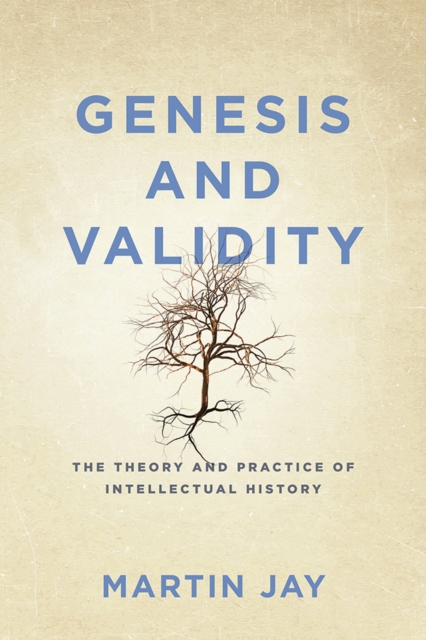 Genesis and Validity : The Theory and Practice of Intellectual History, Paperback / softback Book