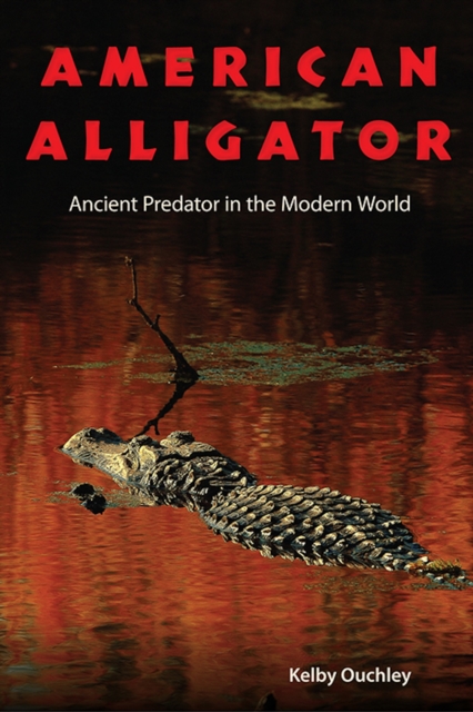 American Alligator : Ancient Predator in the Modern World, EPUB eBook