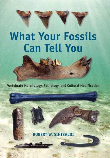 What Your Fossils Can Tell You : Vertebrate Morphology, Pathology, and Cultural Modification, EPUB eBook