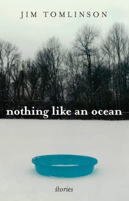 Nothing Like an Ocean : Stories, EPUB eBook