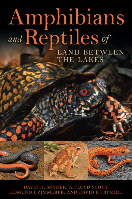 Amphibians and Reptiles of Land Between the Lakes, EPUB eBook