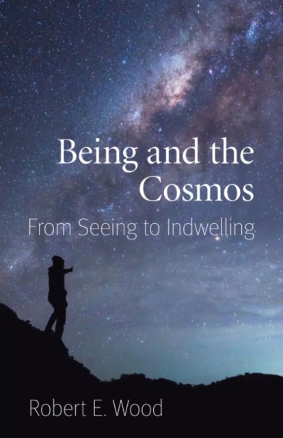 Being and the Cosmos : From Seeing to Indwelling, Paperback / softback Book