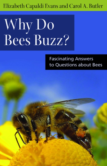 Why Do Bees Buzz? : Fascinating Answers to Questions about Bees, PDF eBook