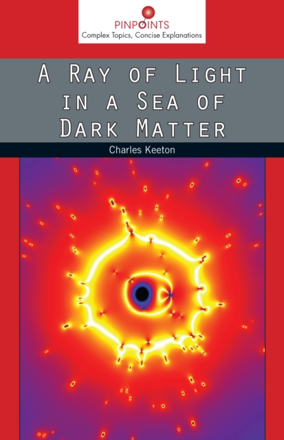 A Ray of Light in a Sea of Dark Matter, PDF eBook