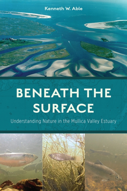 Beneath the Surface : Understanding Nature in the Mullica Valley Estuary, PDF eBook
